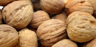 Czy w Internecie wszystko jest prawdziwe?