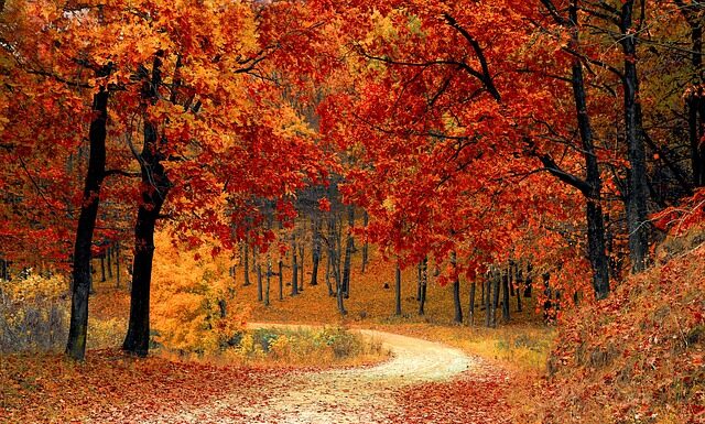 Co odchodzi w 5 klasie technikum?