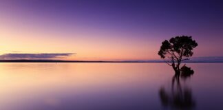 Jak zachować spokój w pracy?