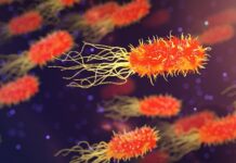 Jak zbadać cały organizm?