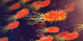 Jak zbadać cały organizm?