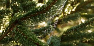 Co to są potrzeby psychiczne? Co to są potrzeby psychiczne?