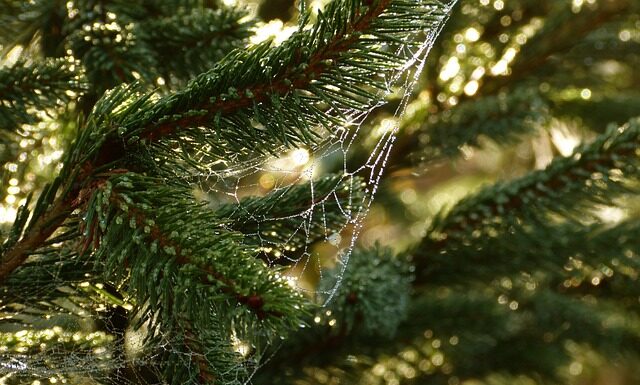 Co to są potrzeby psychiczne?