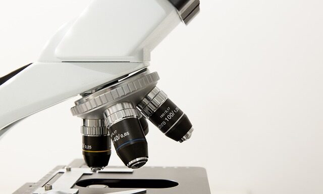 Jak się robi morfologie? Jak się robi morfologie?