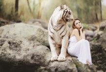 Dlaczego ochrona a nie służba zdrowia?