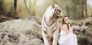 Dlaczego ochrona a nie służba zdrowia?