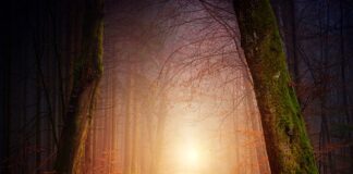 Co powinien zawierać rachunek zysków i strat?