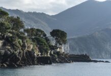 Ile kosztuje zamówienie aplikacji?