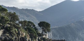 Ile kosztuje zamówienie aplikacji?