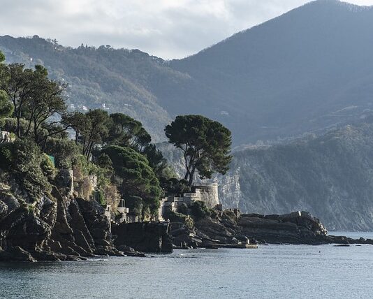 Ile kosztuje zamówienie aplikacji?