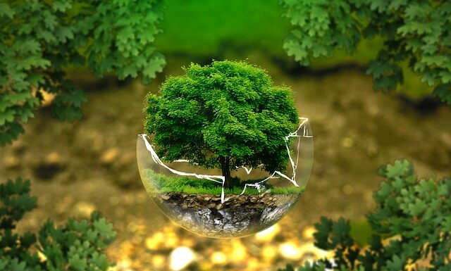 Ile lat jest biologia w technikum?