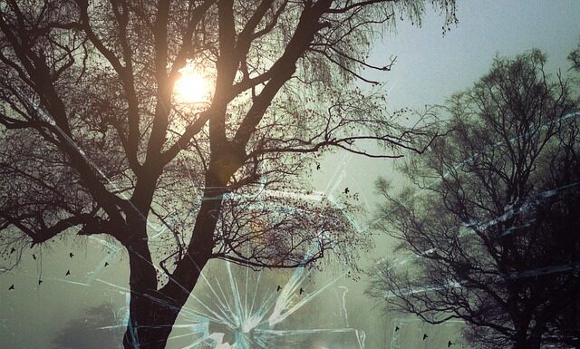 Jakie są kryminalne zagrożenia w sieci?