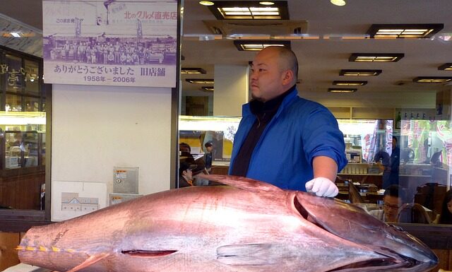 Które z wymienionych są cechami hurtowni danych?