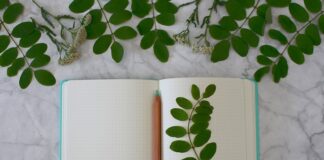 W jakim celu rejestruje się bazę danych? W jakim celu rejestruje się bazę danych?