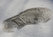 Czy po biol chemie można iść na Kryminologie?