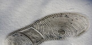 Czy po biol chemie można iść na Kryminologie?