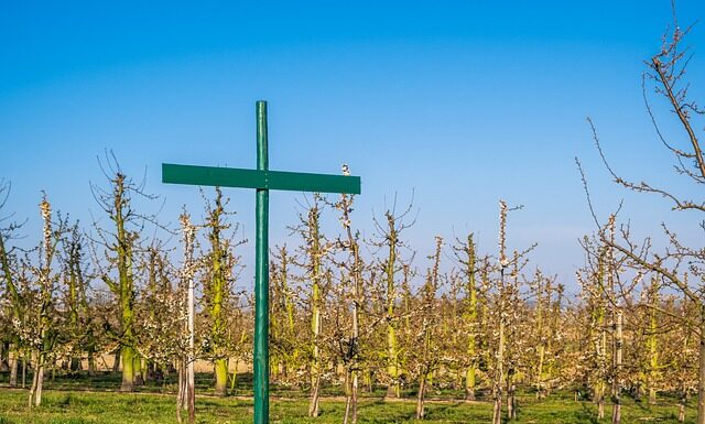 Czy w szkole trzeba wprowadzić regulamin pracy zdalnej?