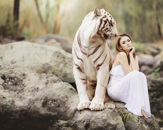 Co to jest system ochrony zdrowia?