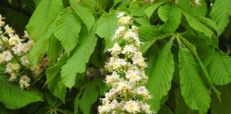 Z czego jest najwięcej zadań na maturze z biologii?