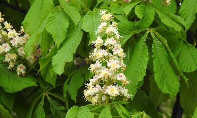Z czego jest najwięcej zadań na maturze z biologii? Z czego jest najwięcej zadań na maturze z biologii?