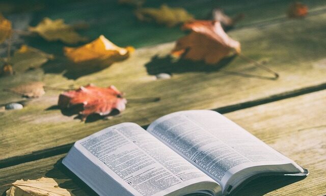 Co to jest studium przypadku?