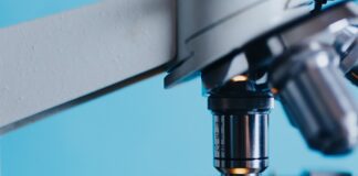 Czym zajmują się biolodzy?