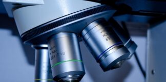 Na jakie studia można iść po biol chemie?