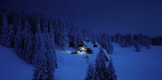 Co to jest cel badań wg Pilcha?