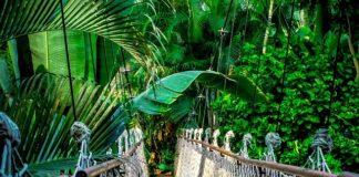 Ile kosztuje kurs Cybersecurity?