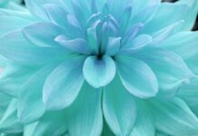 Jak sprawdzić nasycenie rynku?