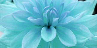 Jak sprawdzić nasycenie rynku?