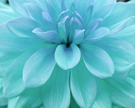 Jak sprawdzić nasycenie rynku?