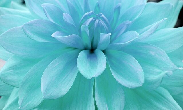 Jak sprawdzić nasycenie rynku? Jak sprawdzić nasycenie rynku?