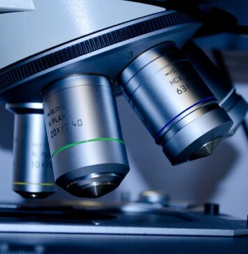 Czy po biotechnologii można uczyć biologii?
