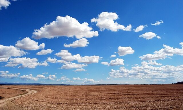 Jakie są Twoje słabe strony przykłady?